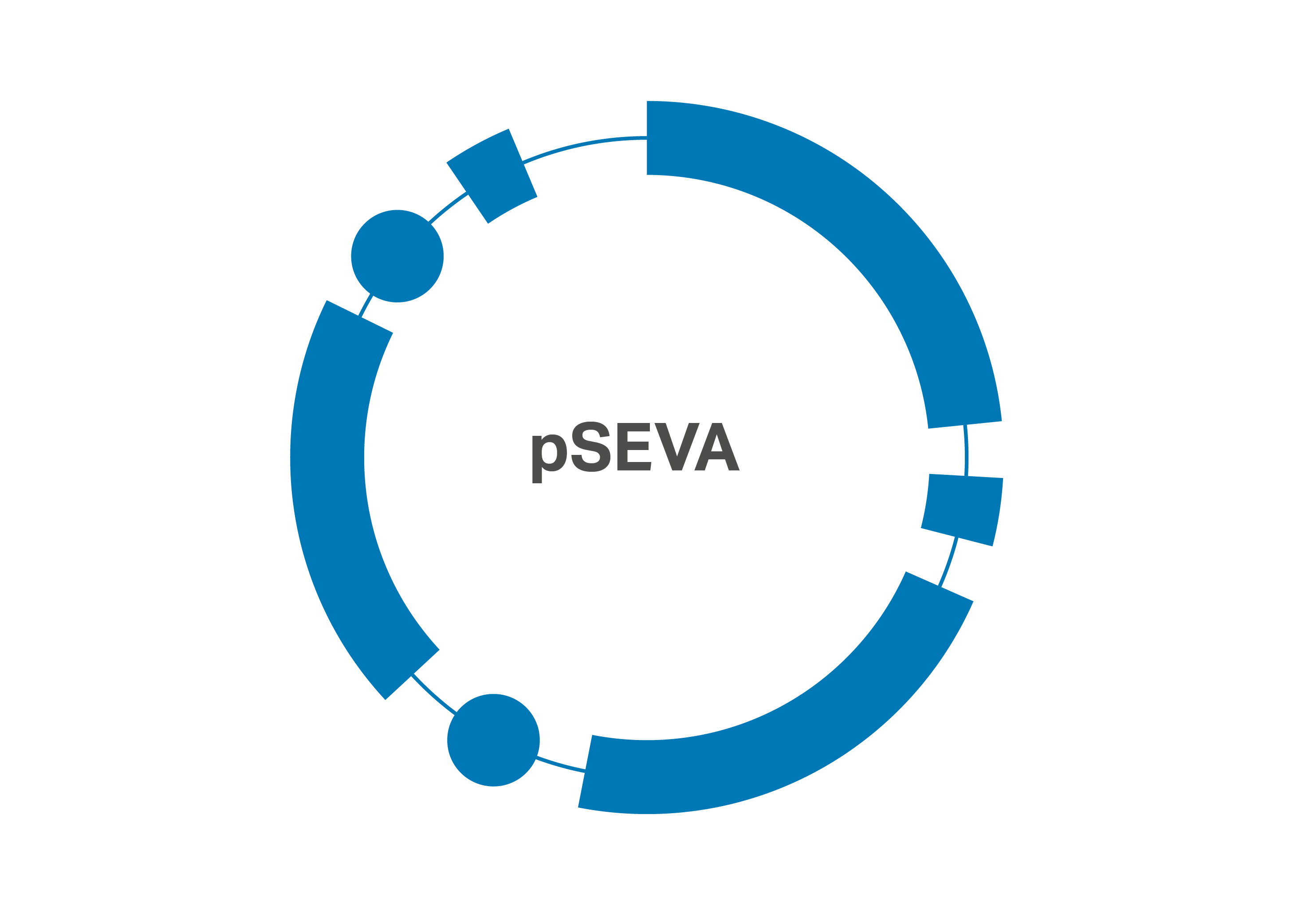 Design a pSEVA vector