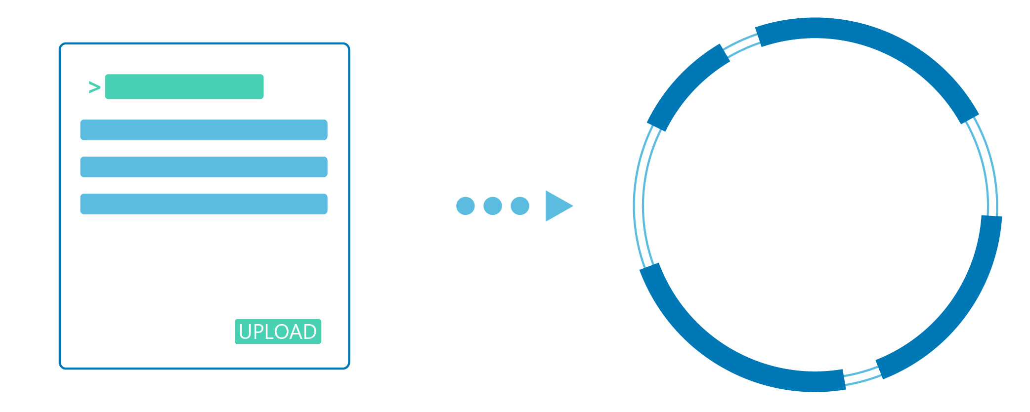 Vector onboarding
